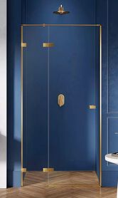  Drzwi prysznicowe wnękowe Avexa Gold