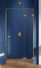  Drzwi prysznicowe wnękowe Avexa Gold (3)
