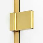  Drzwi prysznicowe wnękowe Avexa Gold (5)